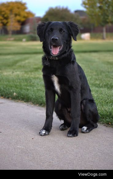 konatherapy:

Handsome Kona