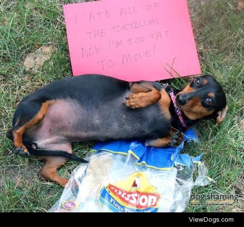 We need to taco ’bout your eating habits

LahDee was mad that…