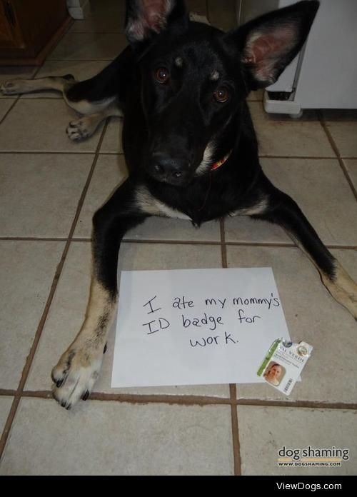 Fake ID? This is totally me!

"I ate my mommy’s ID badge…