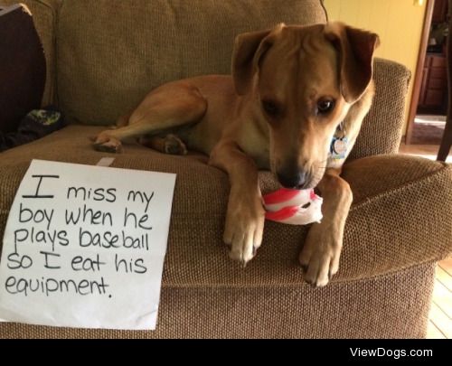 Buster vs. Cup

Buster is gifted at opening baseball equipment…