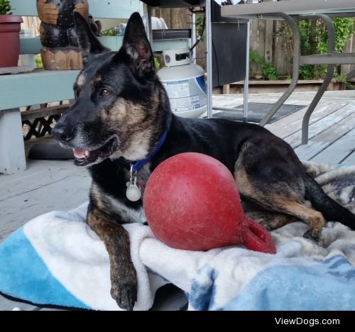 Jake keeping his ball close while he takes a short time-out.