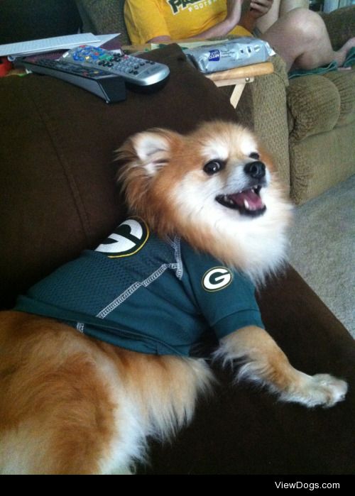 Mitzy sporting her Packers jersey. Love this sweet girl. 
8 y/o…