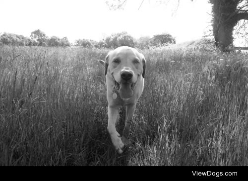 Dylan, 7 years, England